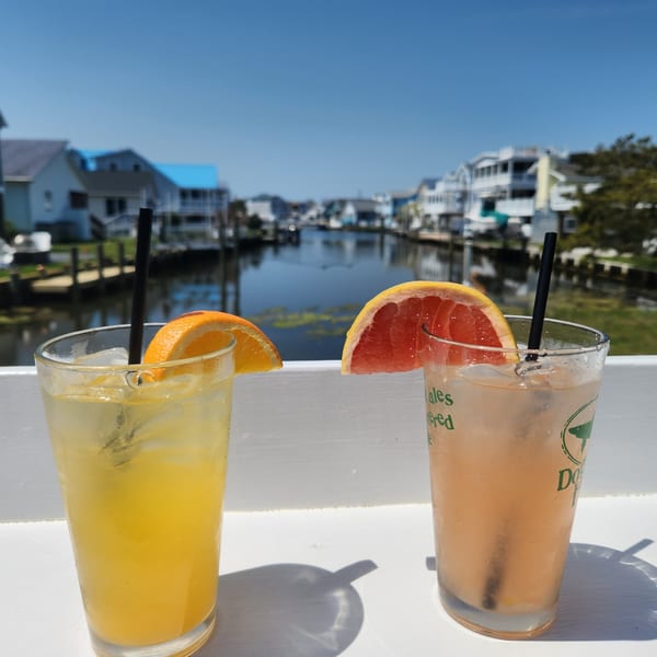 Two cocktails, one orange and one grapefruit, on a sunny deck overlooking a canal with houses.