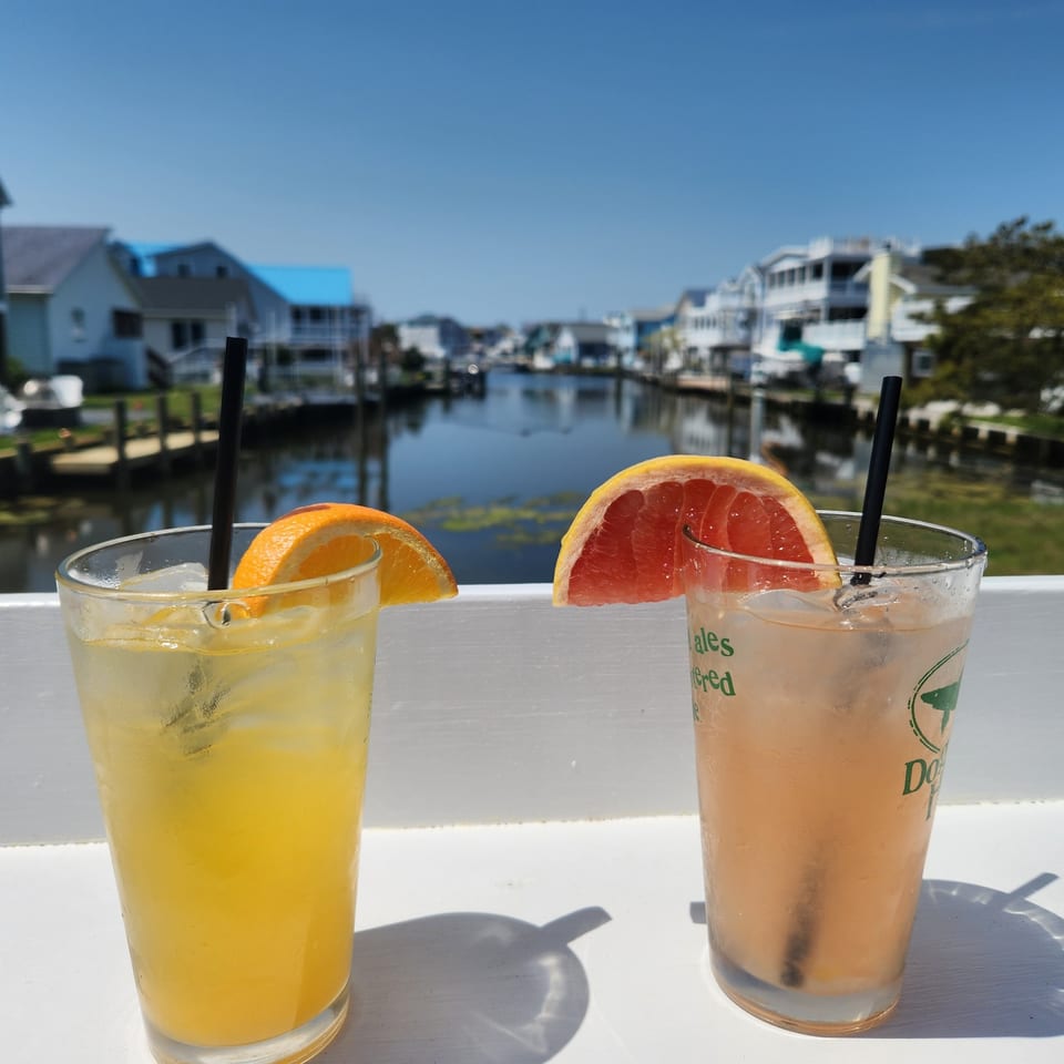 Two cocktails, one orange and one grapefruit, on a sunny deck overlooking a canal with houses.